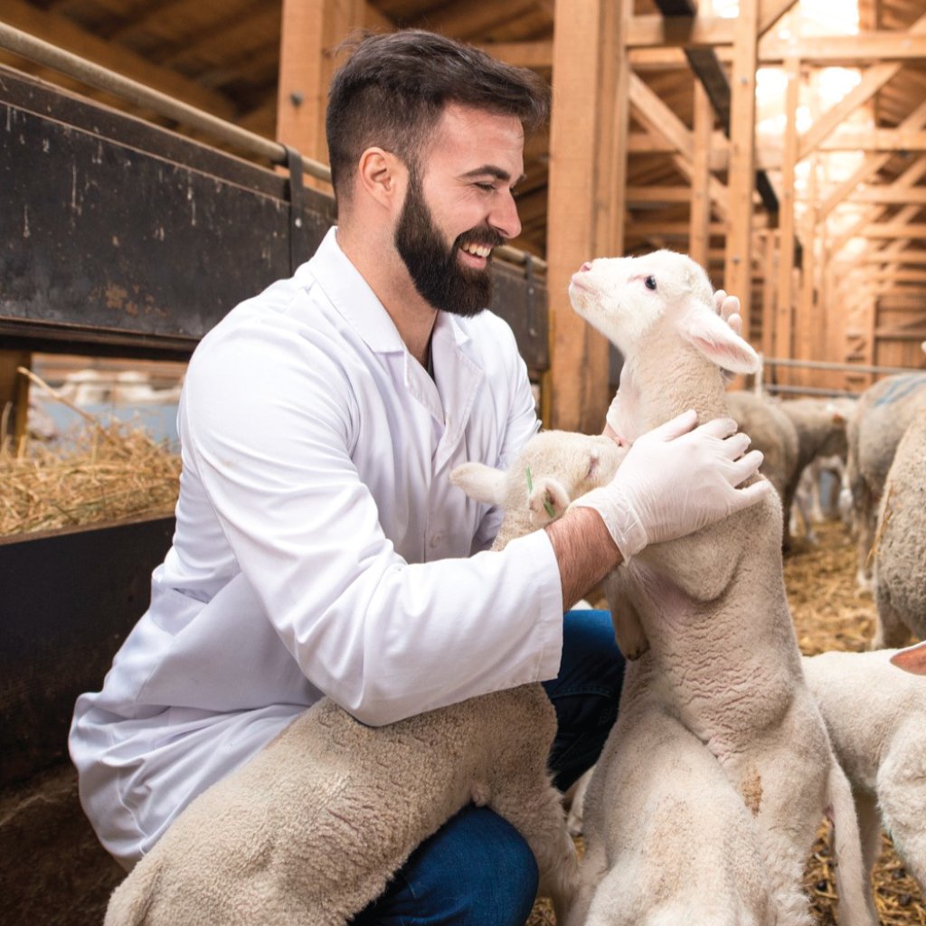 Animal-Nutrition-image